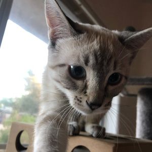 Meet your Posher, Michael